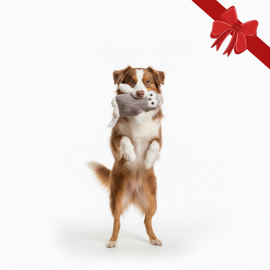 Wonder Christmas Peluche Búho Navideño para perros thumbnail