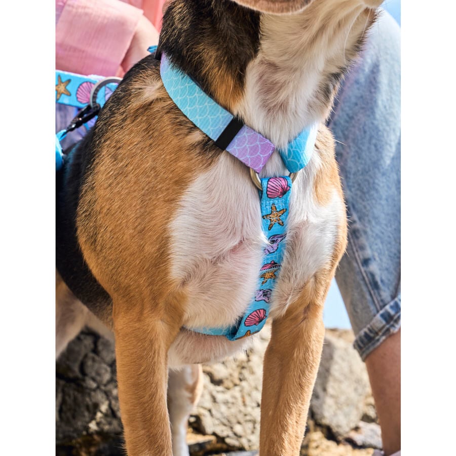 Dukier Mermaid Arnés Clásico para perros thumbnail