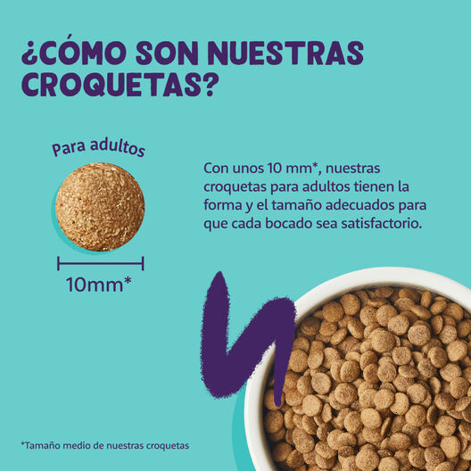 Edgard & Cooper Adult Pollo pienso para gatos, , large image number null