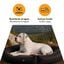 Outech X-perience Cama Plegable para perros, , large indicador imagen numero 5
