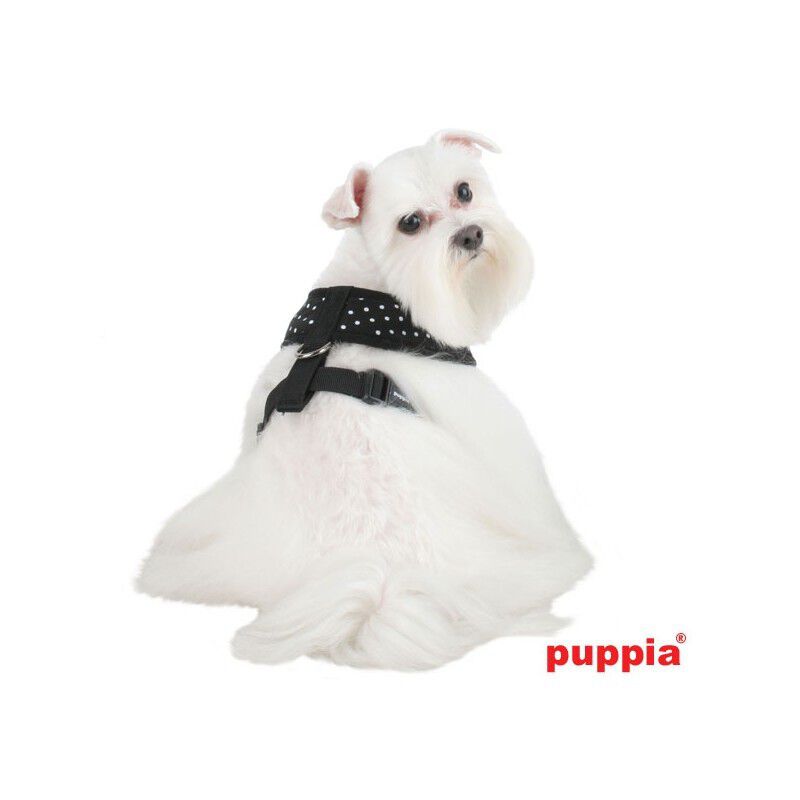 Arn&eacute;s Dotty Soft para perros color Negro, , large Imagen numero 2