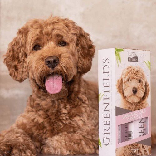 Greenfields Set de Champ&uacute; y Spray Desenredante para labradoodles, , large Imagen numero 2
