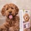 Greenfields Set de Champú y Spray Desenredante para labradoodles, , large indicador imagen numero 2