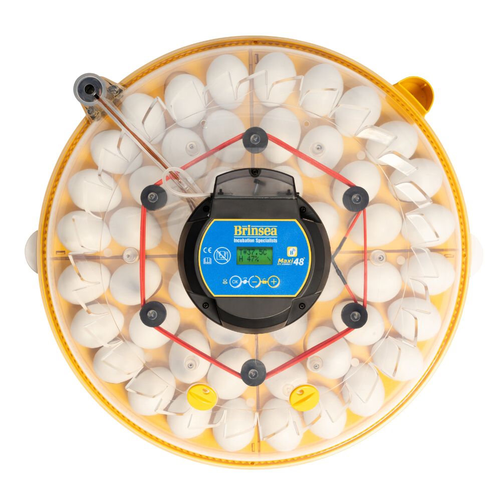 Incubadora Brinsea MAXI 48 Connect - Control Remoto desde el M&oacute;vil, Programaci&oacute;n Digital de Temperatura, Humedad y Volteo, Enfriamiento de Huevos y Cuenta Atr&aacute;s para Eclosi&oacute;n, , large Imagen numero 3