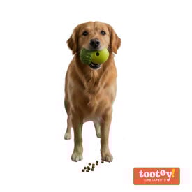 Tootoy! Juguete Portagolosinas Bellota Verde para perros