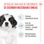 1 kg Royal Canin Puppy Giant pienso para perros, , large indicador imagen numero 3