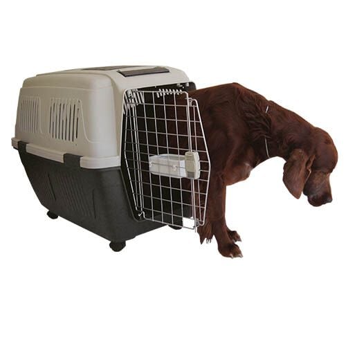 Ibañez Traveller Transportín I con ruedas para mascotas thumbnail