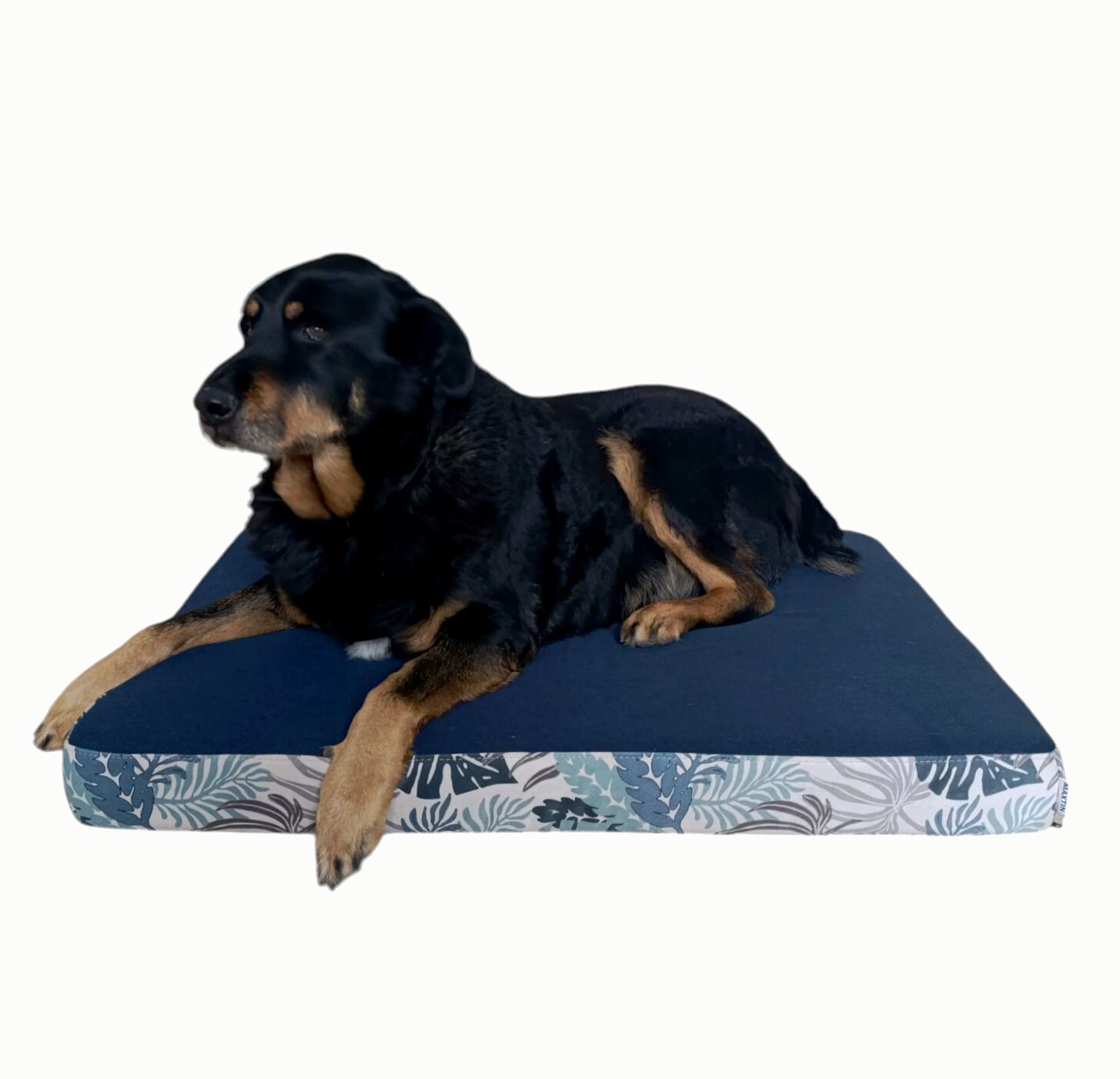 CAMA LULU AZUL Talla L, , large Imagen numero 1