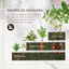 Outsunny Huerto Urbano de 3 Niveles de Jard&iacute;n Acero 118x118x62 cm Arriate de Escalera para Cultivos Plantas Flores para Terraza Exterior Gris, , large indicador imagen numero 5
