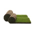Petground recambio empapador ecológico para perros, , large image number null
