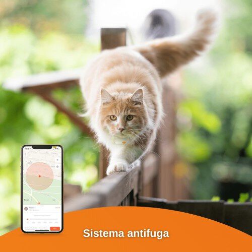Localizador Weenect GPS Cats&sup2; para gatos, , large Imagen numero 4