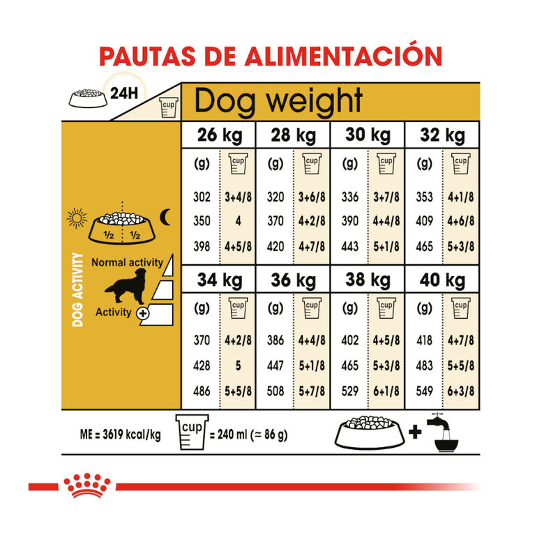 Royal Canin Adult Golden Retriever pienso para perros thumbnail