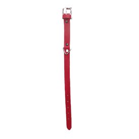 Seleiro Collar Cuero color Rojo para perros