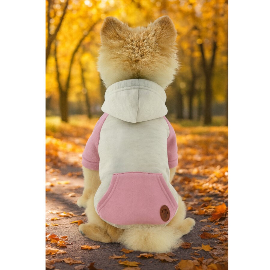 Outech Sudadera con Capucha Rosa para perros, , large Imagen numero 3