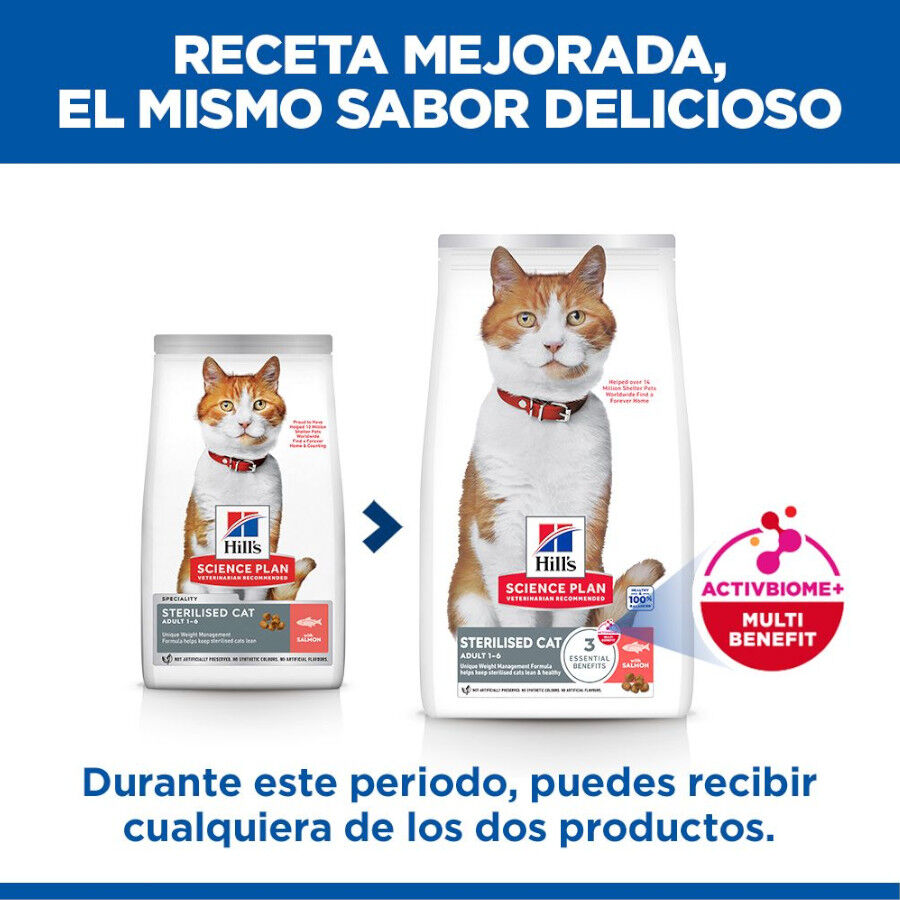 7 kg Hill's Science Plan Sterilised Adult Salm&oacute;n pienso para gatos, , large Imagen numero 3