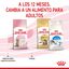 3.5 kg Royal Canin Kitten Sterilised pienso para gatos, , large indicador imagen numero 10