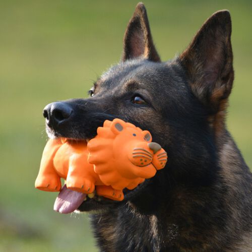 Leo Goma Perro Juguete, , large Imagen numero 2