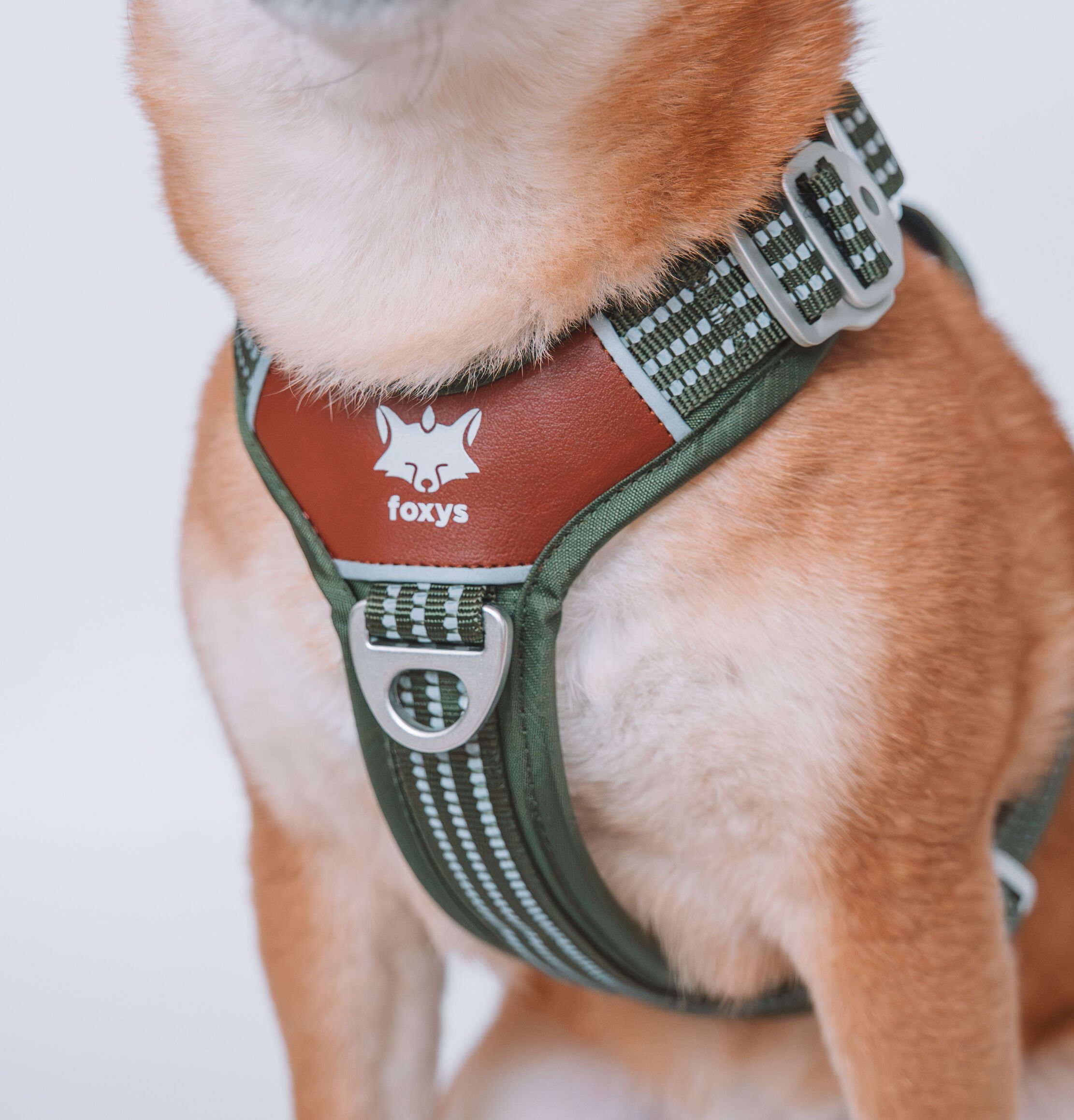 Foxys Arnés Anti Tirones Matcha verde para perros thumbnail