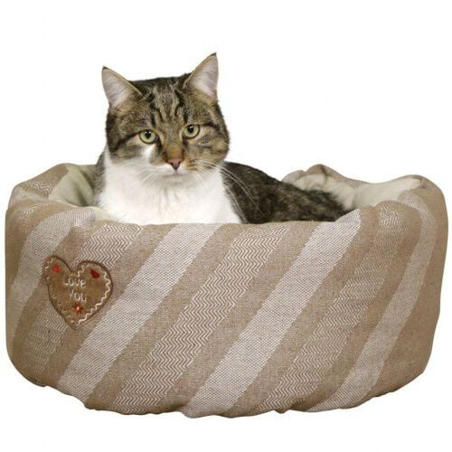 Cama Love you para perros peque&ntilde;os color Beige, , large Imagen numero 5