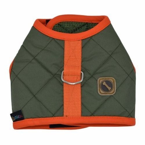 Loyal arn&eacute;s giaca verde para perros, , large Imagen numero 1