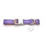 Collar para perros | Friends - Purple Door, , large indicador imagen numero 2