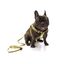 Correa de poli&eacute;ster para perros Zooz Pets Charlie Brown Yellow, , large indicador imagen numero 3
