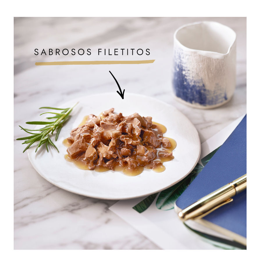 Gourmet Perle Filetes en salsa sobre para gatos thumbnail