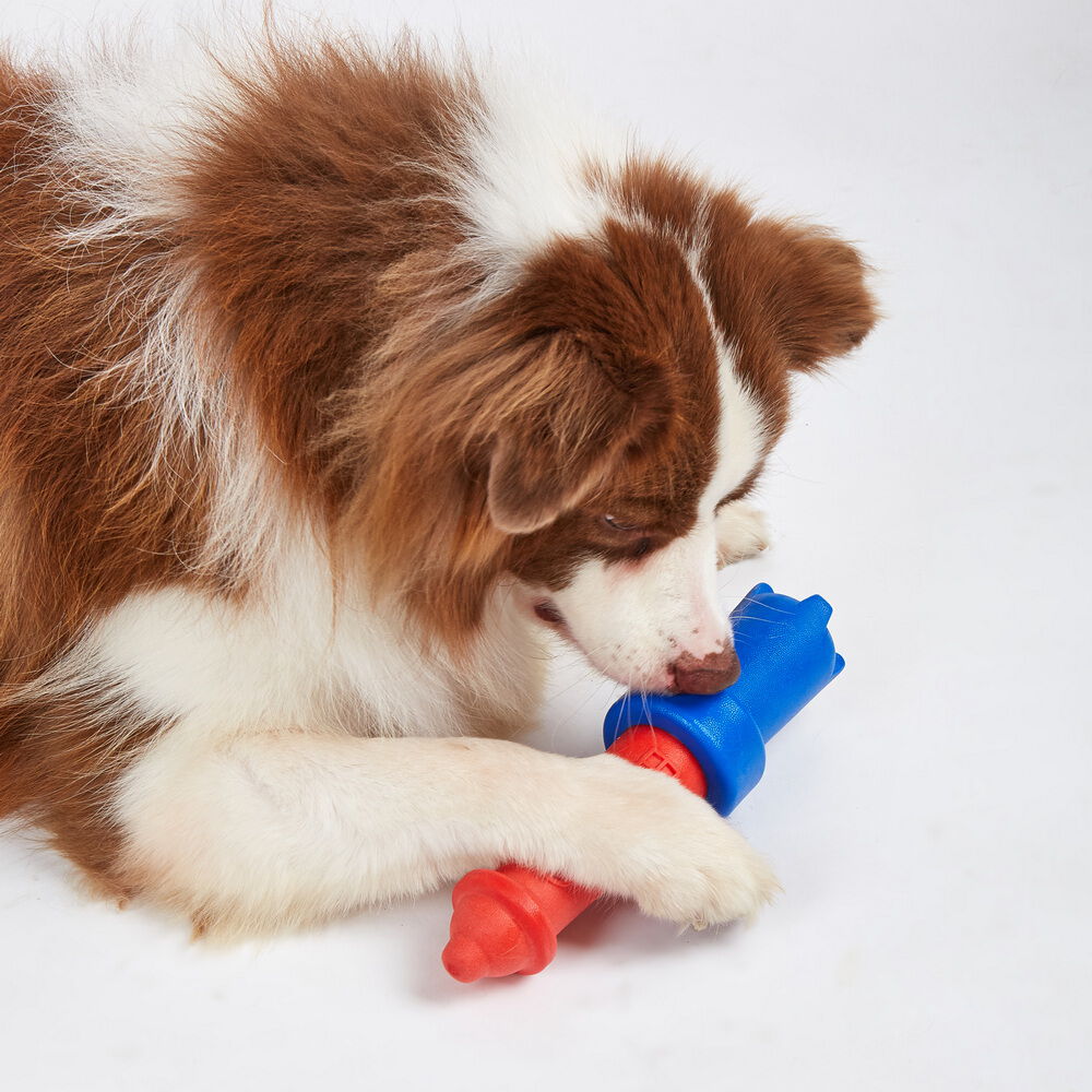 FOFOS | Faro Flotante &ndash; para Jugar y Atrapar en el Agua  - Para Perro, , large Imagen numero 4