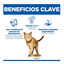 1.5 kg Hill's Science Plan Youthful Vitality Pollo pienso para gatos, , large indicador imagen numero 3