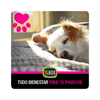 Tgbox Todo Bienestar Para Tu Mascota para perros