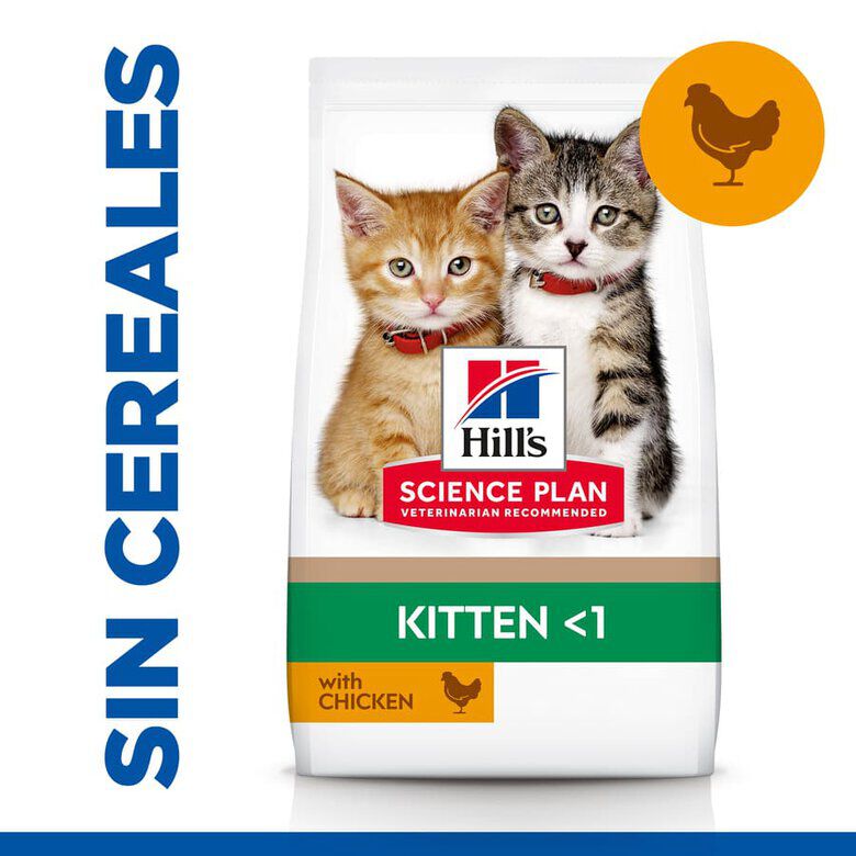 1.5 kg Hill's Science Plan No Grain Kitten Pollo pienso para gatos, , large Imagen numero 1