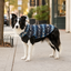 Gotoo Jersey Sherpa Estampado Retro para perros, , large indicador imagen numero 1