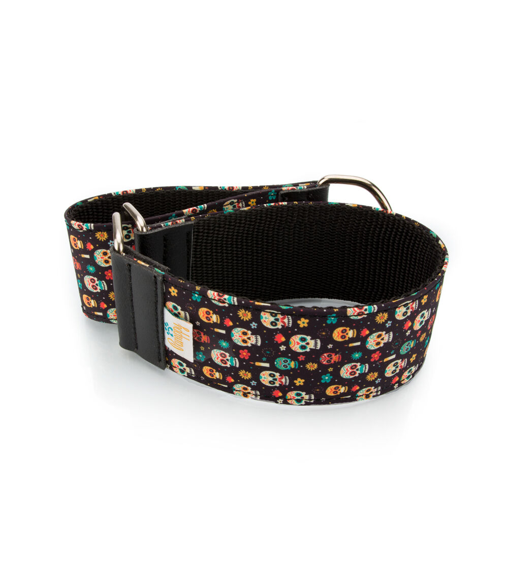 Collar Pamppy Galgo Speedy Calavera Mexicana para perros, , large Imagen numero 2