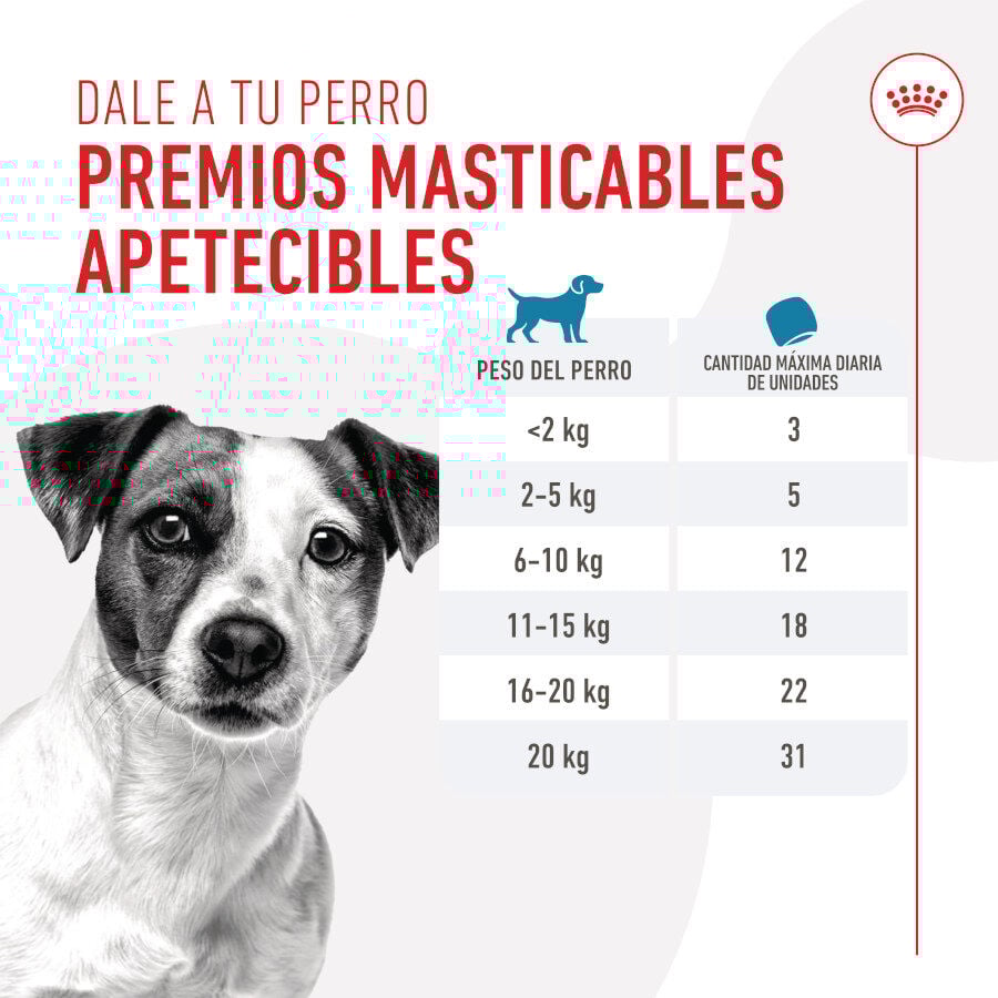 Royal Canin Training Treats Snacks para perros thumbnail