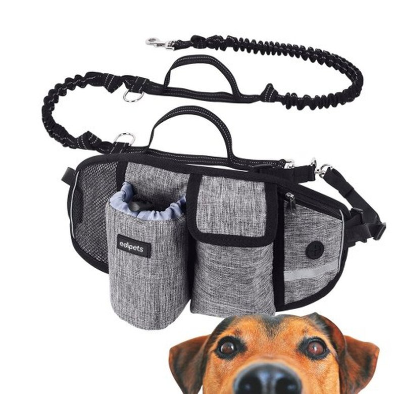 Edipets correa canicross con bolsillos de almacenaje gris para perros, , large image number null