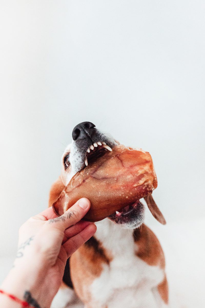 BIMORDISCOS Orejas de Cerdo para Perros, , large Imagen numero 3