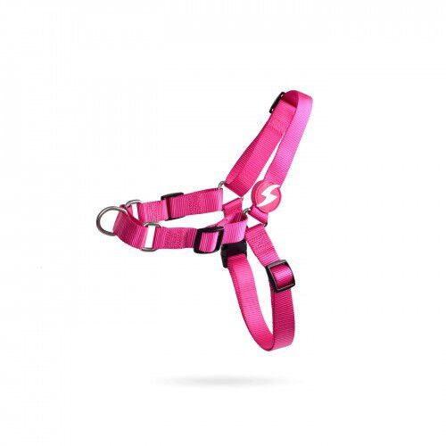 Arn&eacute;s frontal para perros color Rosa, , large Imagen numero 1