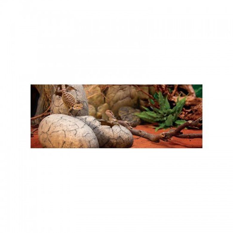 Cuevas Dinosaur Eggs Exo-Terra thumbnail