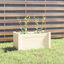 vidaXL Jardinera de madera maciza de pino blanca 60x31x31 cm, , large indicador imagen numero 2