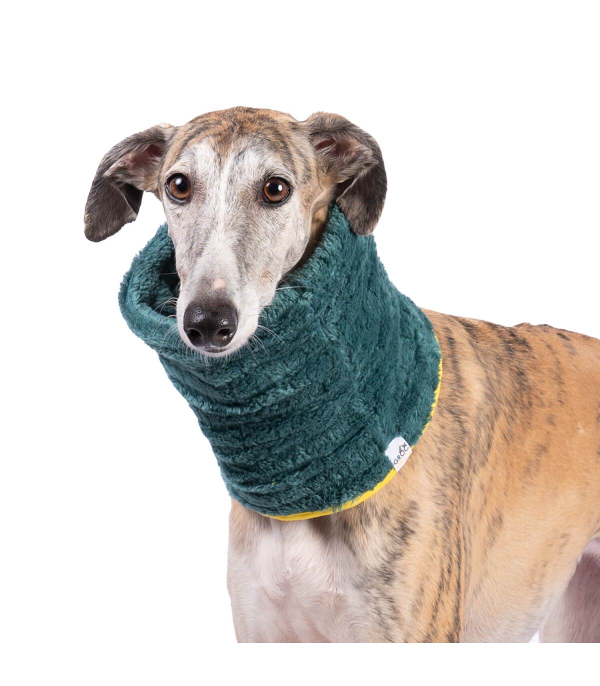 Cuello Bufanda para perro Groc Groc Uoamy Verde Peluche, , large Imagen numero 1