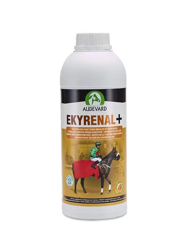 AUDEVARD EKYRENAL PLUS 5L, , large Imagen numero 2
