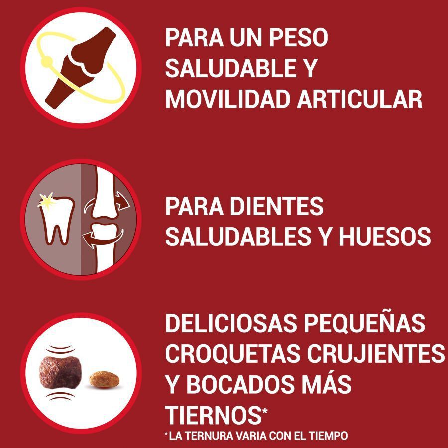 Purina One Senior 8+ Mini pienso para perros thumbnail