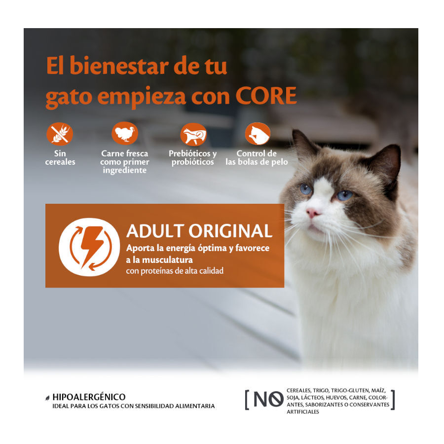 Wellness Core Adult Pollo y Pavo pienso para gatos thumbnail