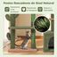 COSTWAY Árbol para Gatos, Torre para Gatos con Diseño de Cactus Verde con Condominio, Hamaca, Plataforma, Postes de Rascado de Sisal, Cojín Lavable, Árbol Rascador para Gatos (90 x 30 x 81 cm), , large indicador imagen numero 4