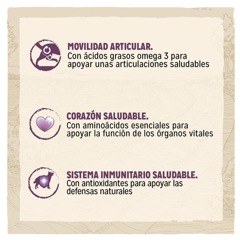 Dog Chow Mature Senior Pollo pienso para perros thumbnail