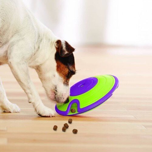 Juguete de inteligencia con premios para perros, , large Imagen numero 2