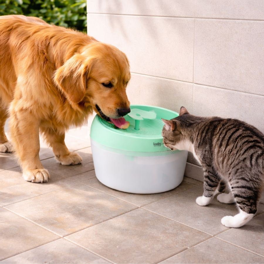 Leeby Fuente de Agua Verde para perros y gatos, , large Imagen numero 1