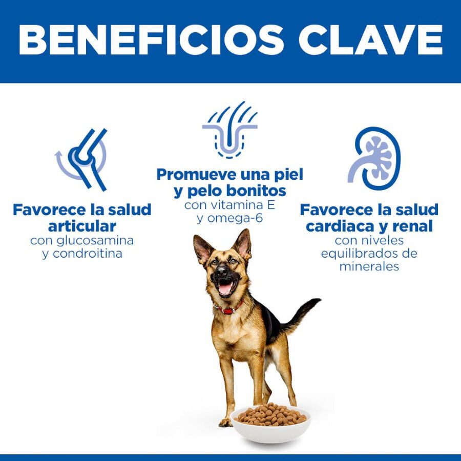 18 kg Hill's Science Plan Mature Adult Large Pollo pienso para perros, , large Imagen numero 5