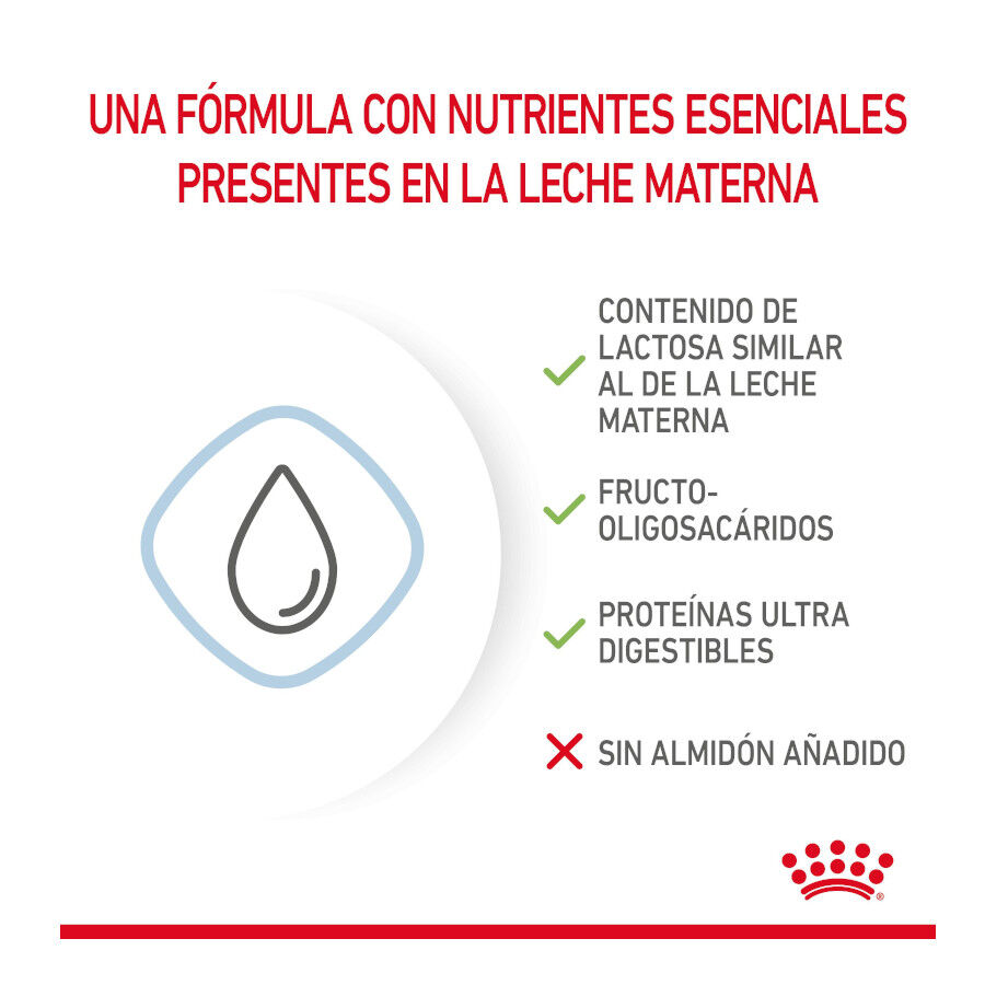 400 g Royal Canin Leche para cachorros primer a&ntilde;o, , large Imagen numero 5