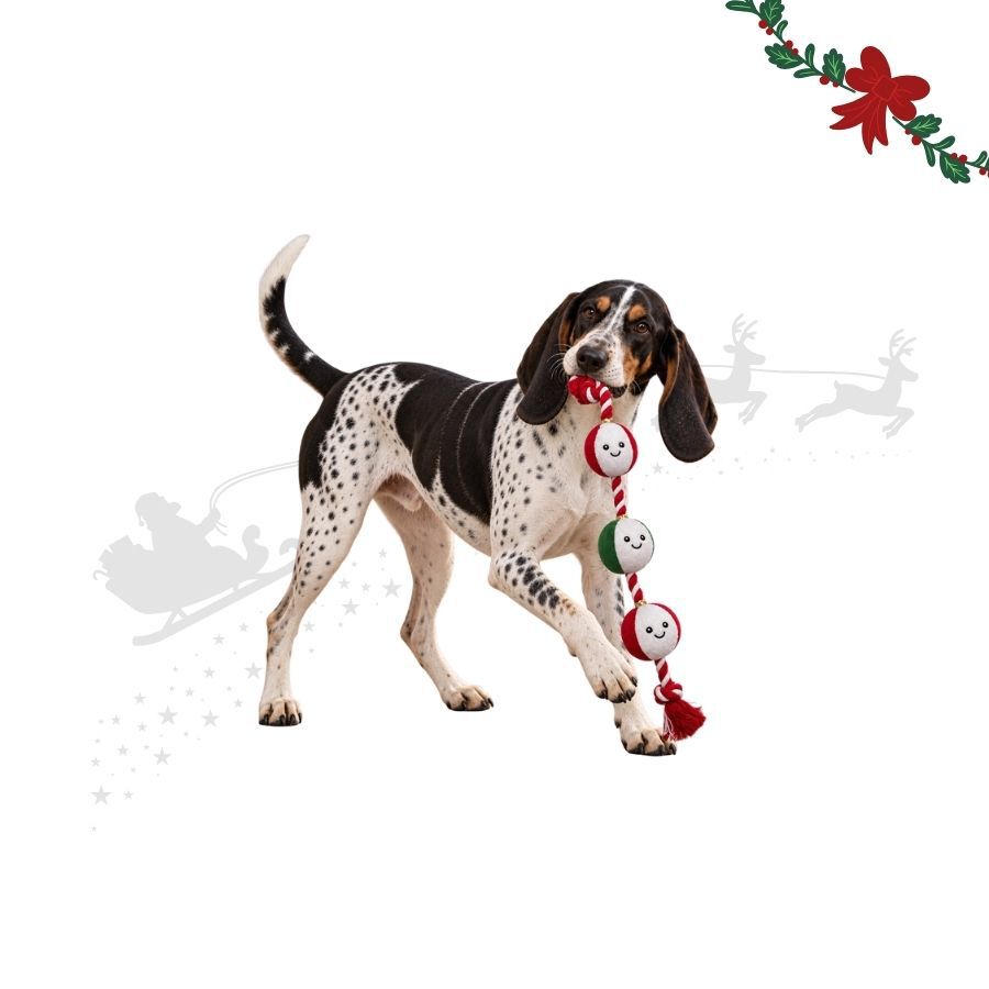 Wonder Christmas Cuerda y Cascabel Juguete para perros, , large Imagen numero 1